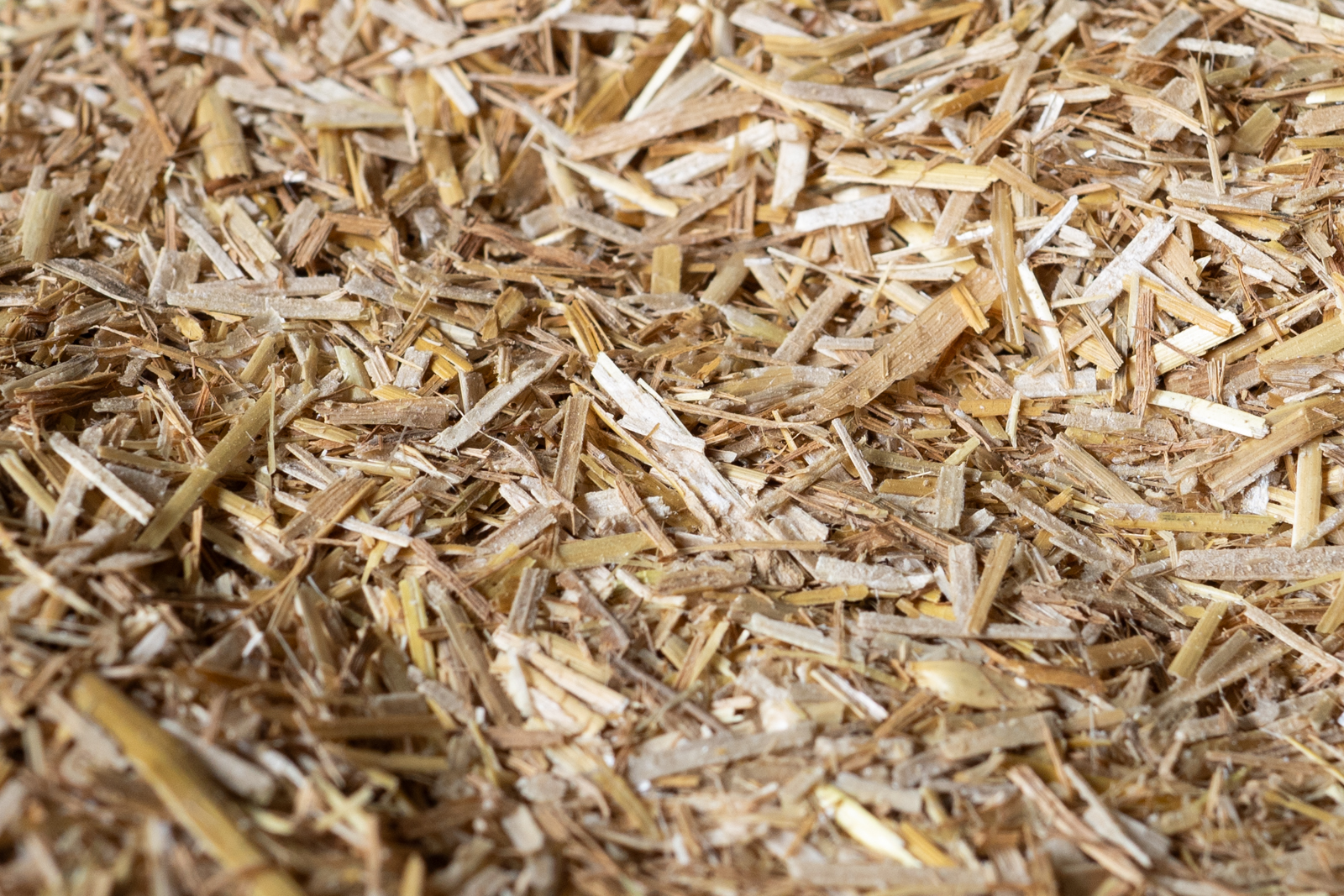 Paille utilisée pour le substrat de culture