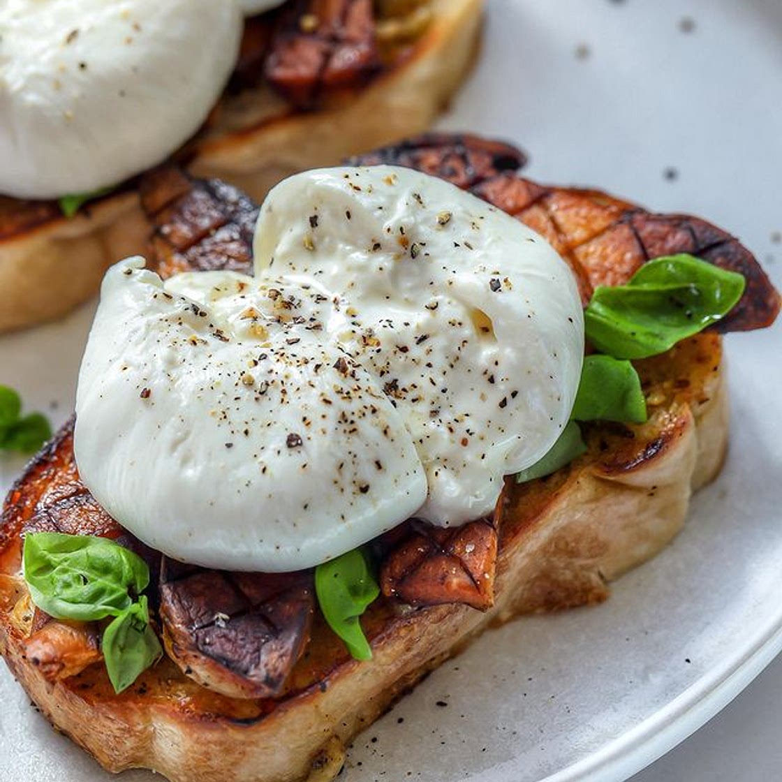 Tartine aux pleurotes du panicaut